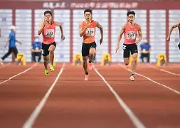关于田径夜战：江汉灰熊队强势反弹江南貔貅队，主帅临场妙招赛季拐点或已出现的信息-开元官方网站